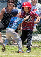 _DSC0255